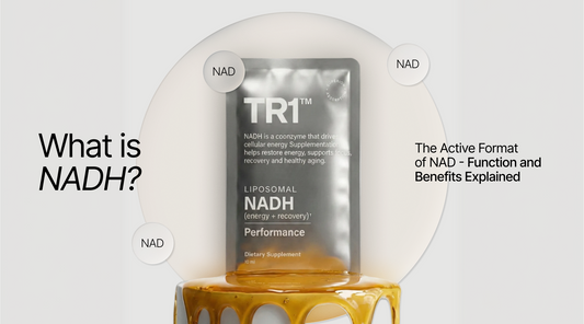 What is NADH? The Active Format of NAD - Function and Benefits Explained