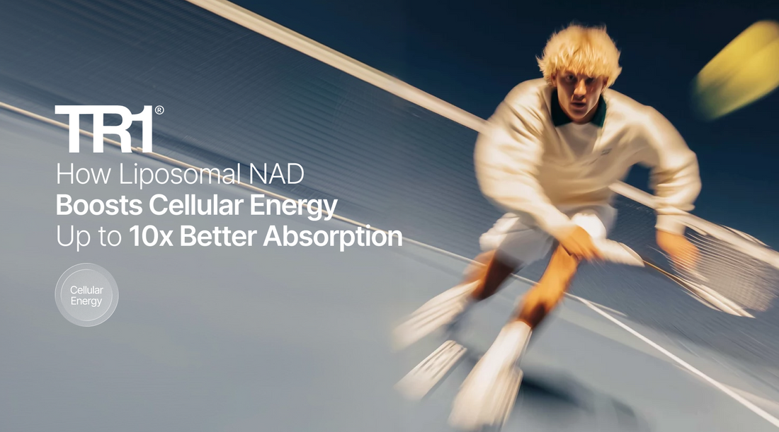 Why most supplements don’t work and how TR1’s liposomal format provides up to 10x more absorption