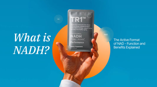 What is NADH? The Active Format of NAD - Function and Benefits Explained