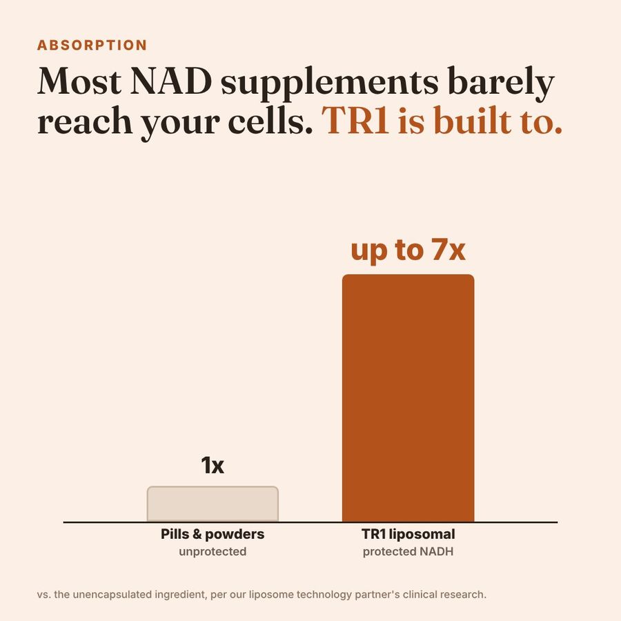 TR1 slide 5